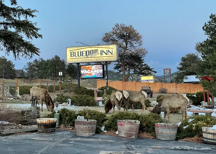 Motels Blue Door Inn